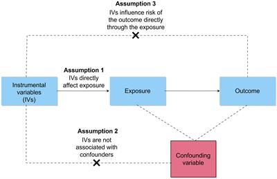 Bidirectional causal relational between frailty and mental illness: a two-sample Mendelian randomization study